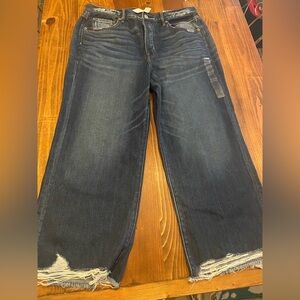 NWT 14 Reg High Rise Wide Leg Crop American Eagle Outfitters Indigo Denim Jeans
